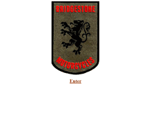 Tablet Screenshot of bridgestonemotorcycle.com